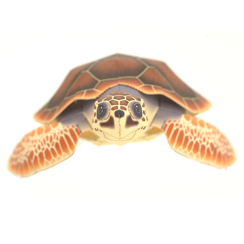 アカウミガメ：Loggerhead turtle（紙工作キット） | KeiCraft Onl