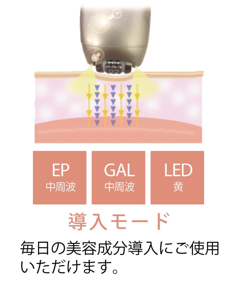 ドクターム BML（ビーエムエル）美容機器 | DOCTERM＋（ドクタームプラス）