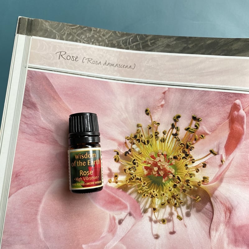 ローズ (ダマスク)ブルガリア （水蒸気蒸留） 「至福 愛の