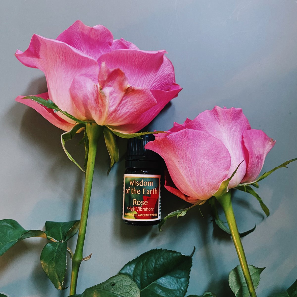 ローズ (ダマスク)ブルガリア （水蒸気蒸留） 「至福 愛の