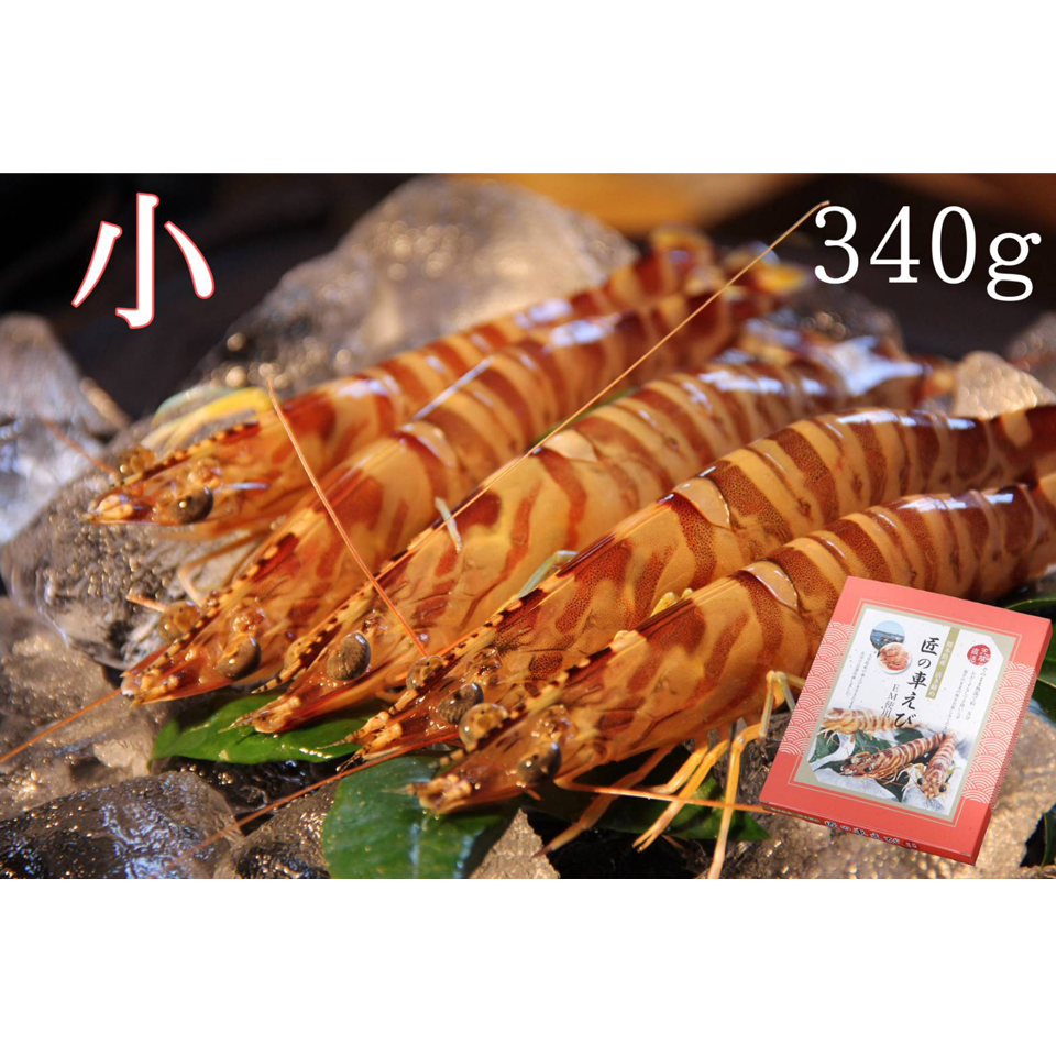 活き締め急速冷凍車えび （小）300g | 株式会社丸山えび