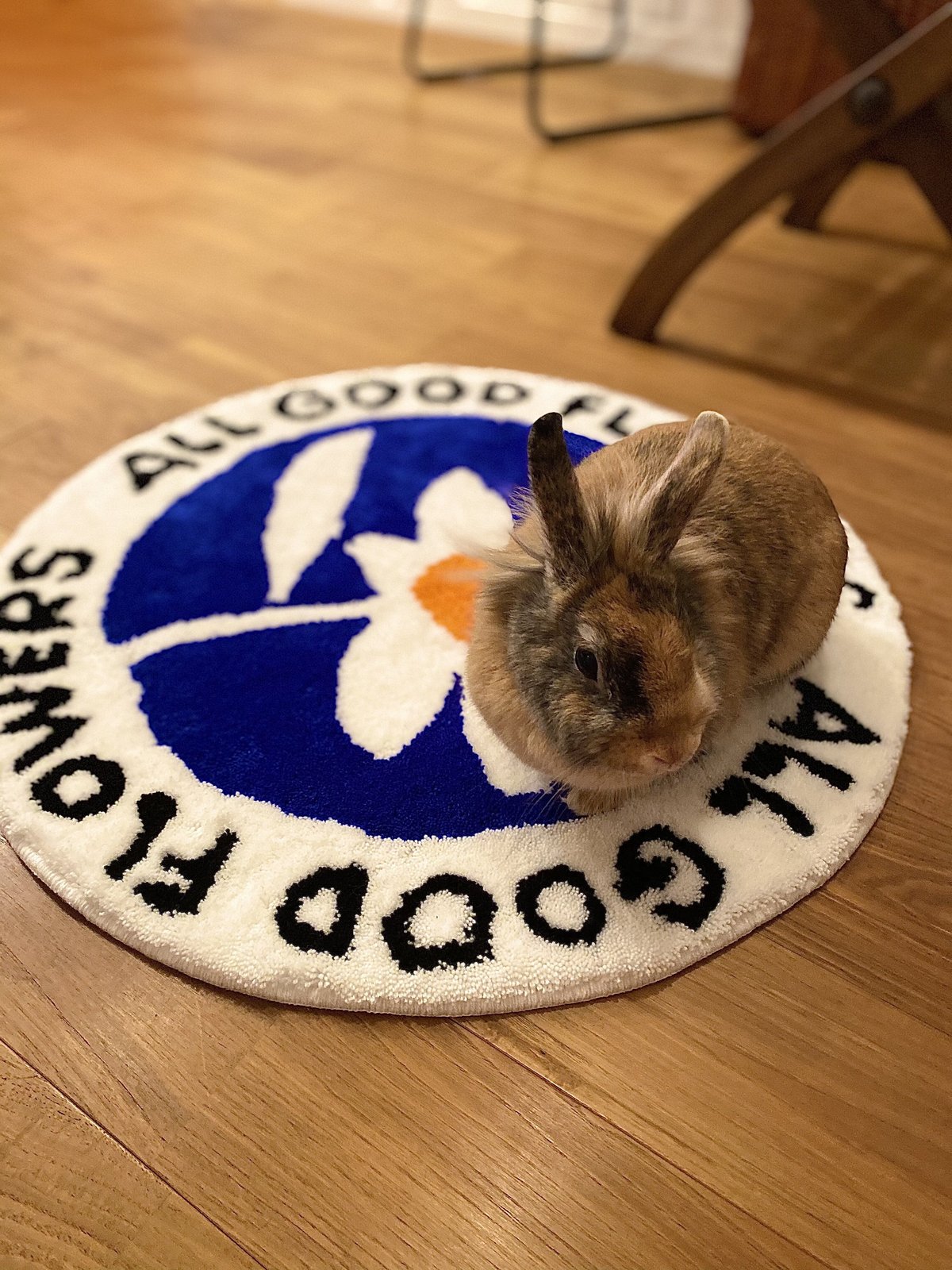 ALL GOOD RUG | ALL GOOD FLOWERS STORE