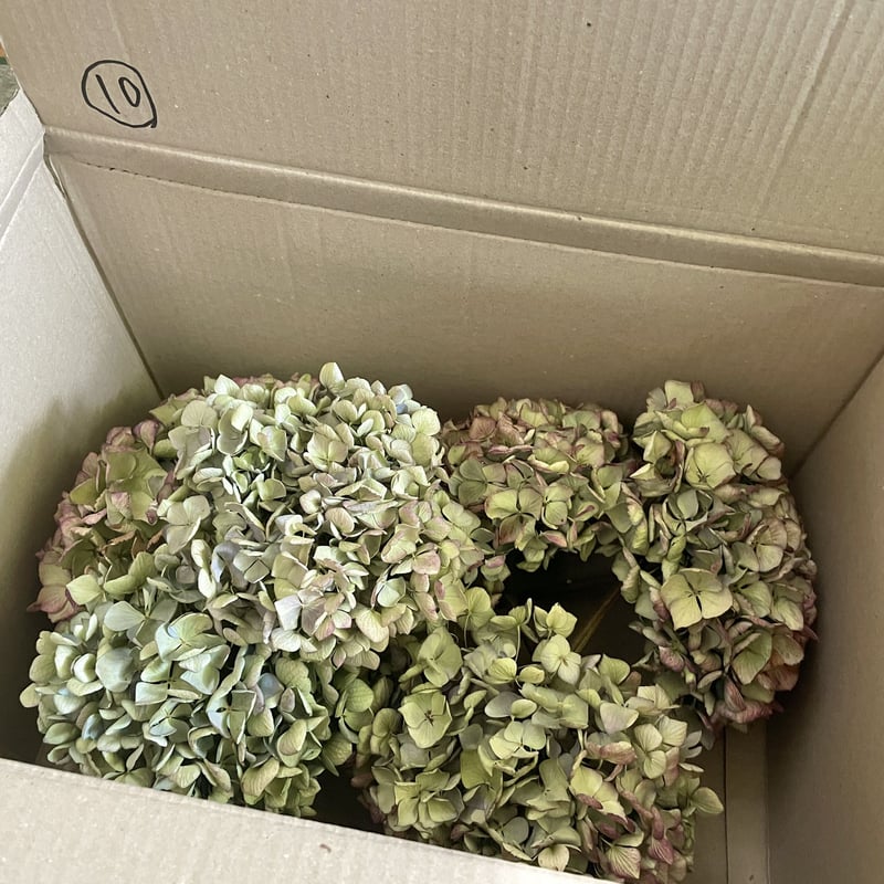 ⑩紫陽花ドライフラワー・茎付き6本・色MIX (西安のみアンティーク