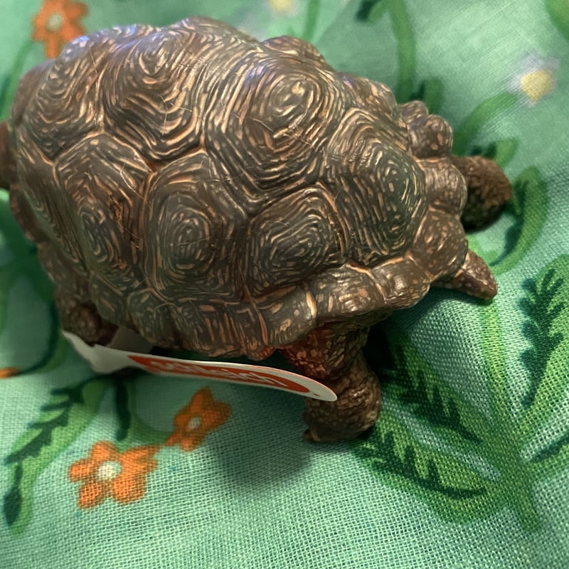 ドイツ フィギュア ゾウガメ 亀 カメ シュライヒ ミニチュア | 世界の