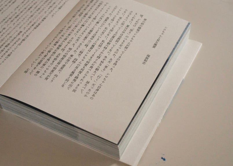 サイン入り》佐内正史 写真集「写真がいってかえってきた」 | 本・中川