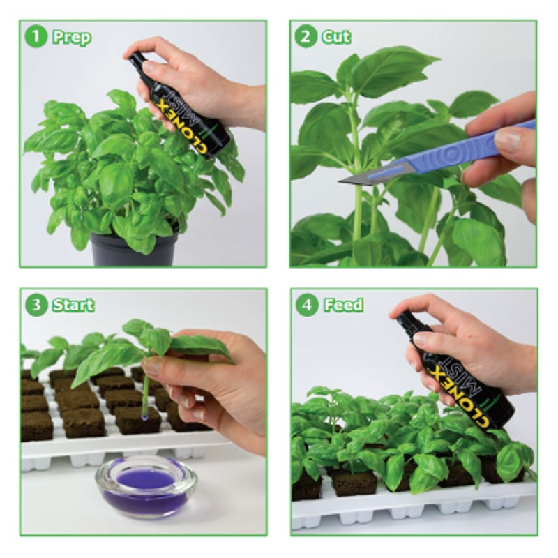 Clonex Rooting Gel 100ml | growshop hifumi