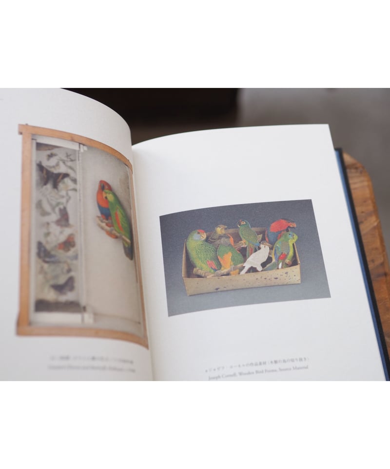 ジョゼフ・コーネル コラージュ＆モンタージュ | button