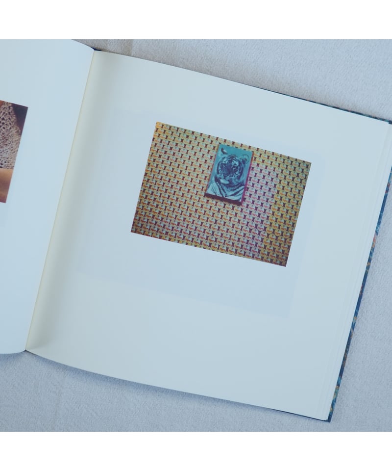 CARDBOARD LANDSCAPES｜Luigi Ghirri | button