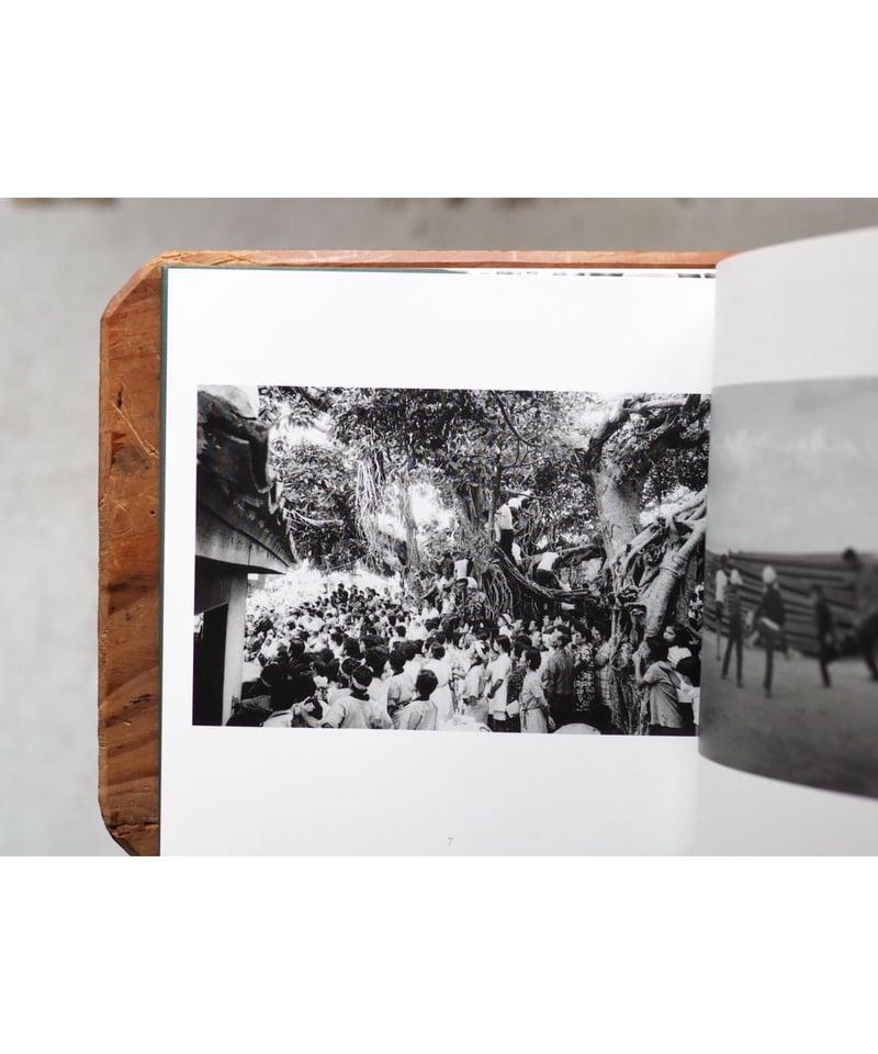 山羊の肺 沖縄 一九六八─二〇〇五年【復刻版】 / 平敷兼七 | button