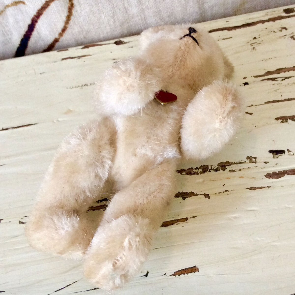 ベルグ社 ミニミニベア | sputnikplus online shop