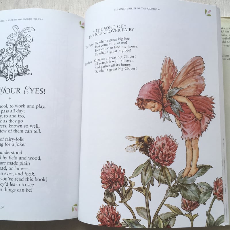 THe COMPLETE BOOK of the FLOWER FAIRIES | ミスアレン