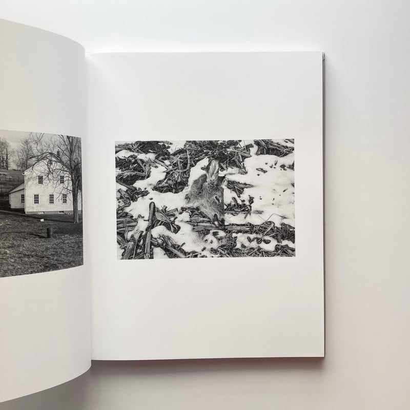 The Seraphim - Jesse Lenz | goat books