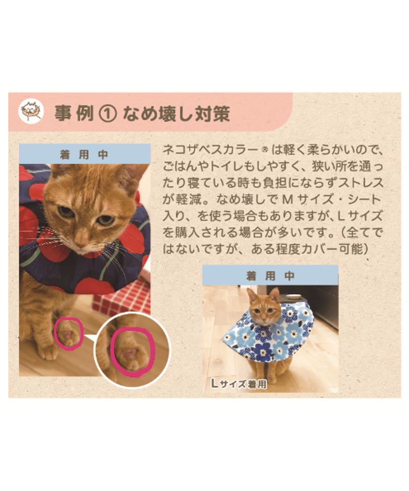 ネコザベスカラー】Lサイズ 標準 | コザクランラン 3/7～8鳥フェス仙台