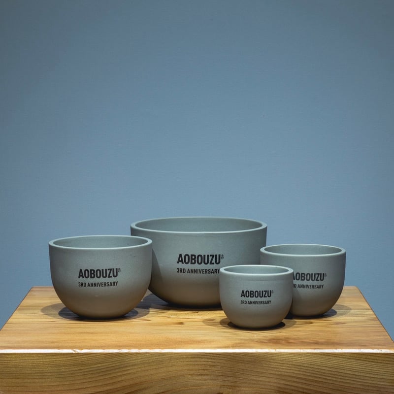 青坊主3周年記念グラ専鉢【VALIEM別注】 | 青坊主-aobouzu- | 塊根植物