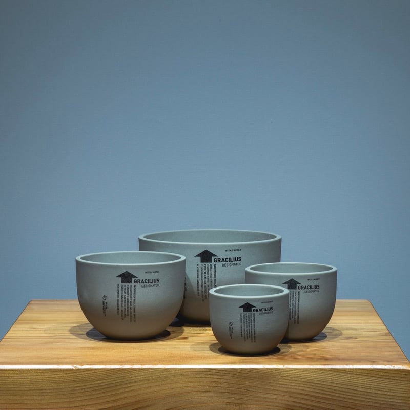 青坊主3周年記念グラ専鉢【VALIEM別注】 | 青坊主-aobouzu- | 塊根植物