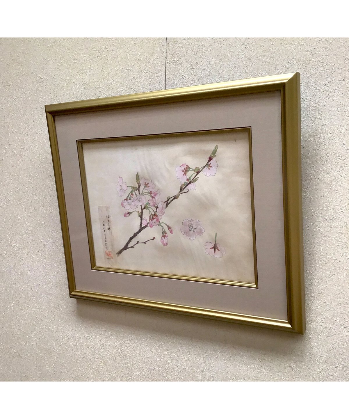 堅山南風 ソメイヨシノ 素描 27×36.5cm | HAYASHIDA GALLERY