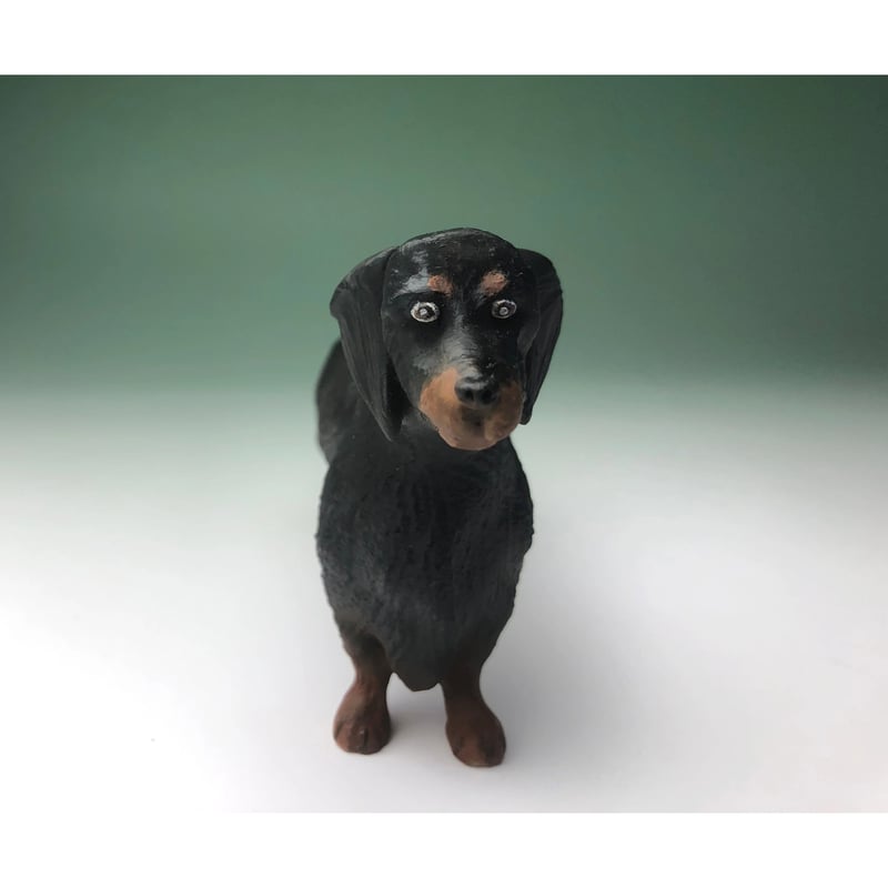 ダックスフント ブラック＆タン | Haniibaaz