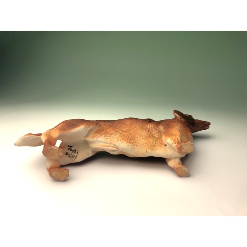 ダックスフント レッド | Haniibaaz