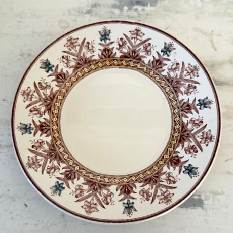 サルグミンヌ | STORES