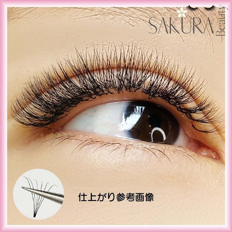 3Dプリメイド ボリュームラッシュ 0.07 ×8-15mm Cカール | SAKURA BE