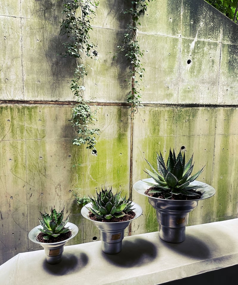 CATEGORY PLANT POT | MASSES OFFICIAL ONLINE STORE