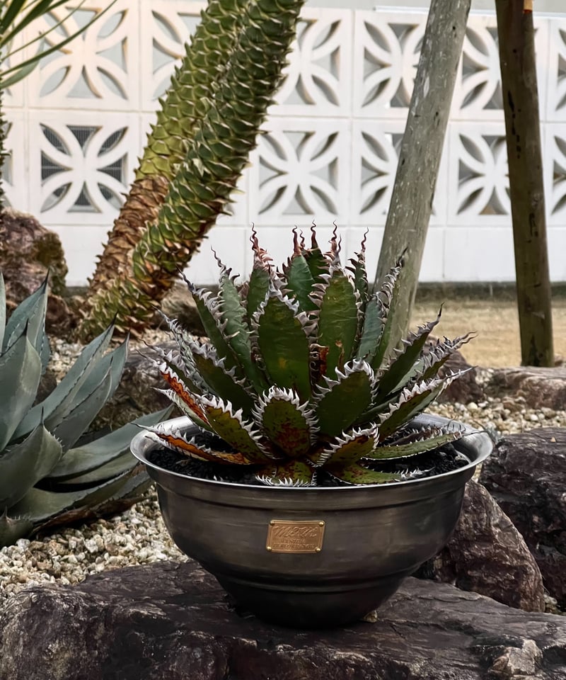 TYPE7 【UFO 】Iron | MASSES OFFICIAL ONLINE STORE