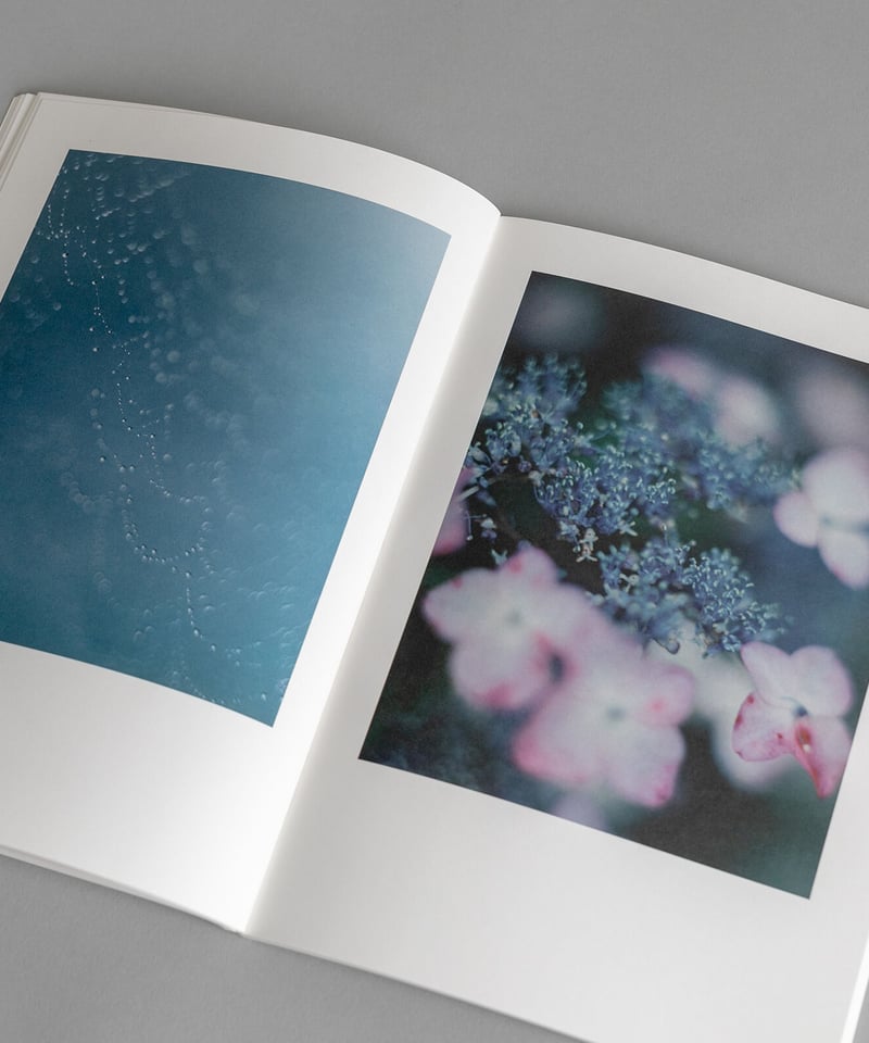 大林直行写真集「おひか」 | Naoyuki Obayashi Online Store