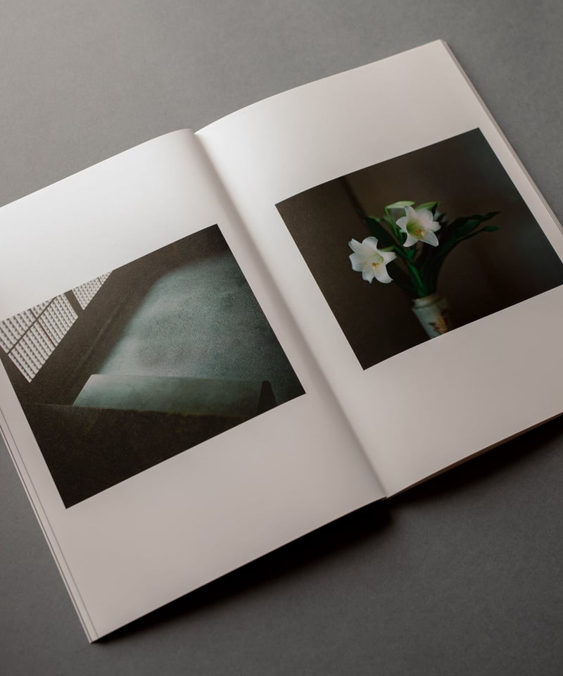 大林直行写真集「おひか 濃藍」 | Naoyuki Obayashi Online Store