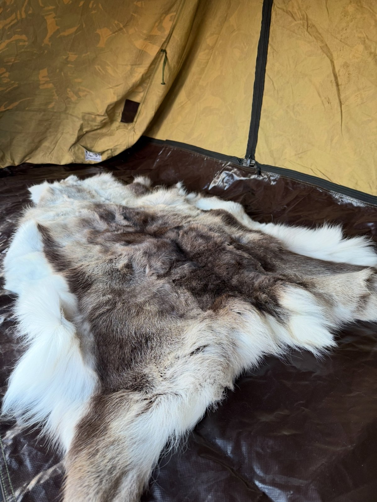 北欧❗️スウェーデン産‼️ トナカイ ファー 毛皮 ラグ マット 1頭分