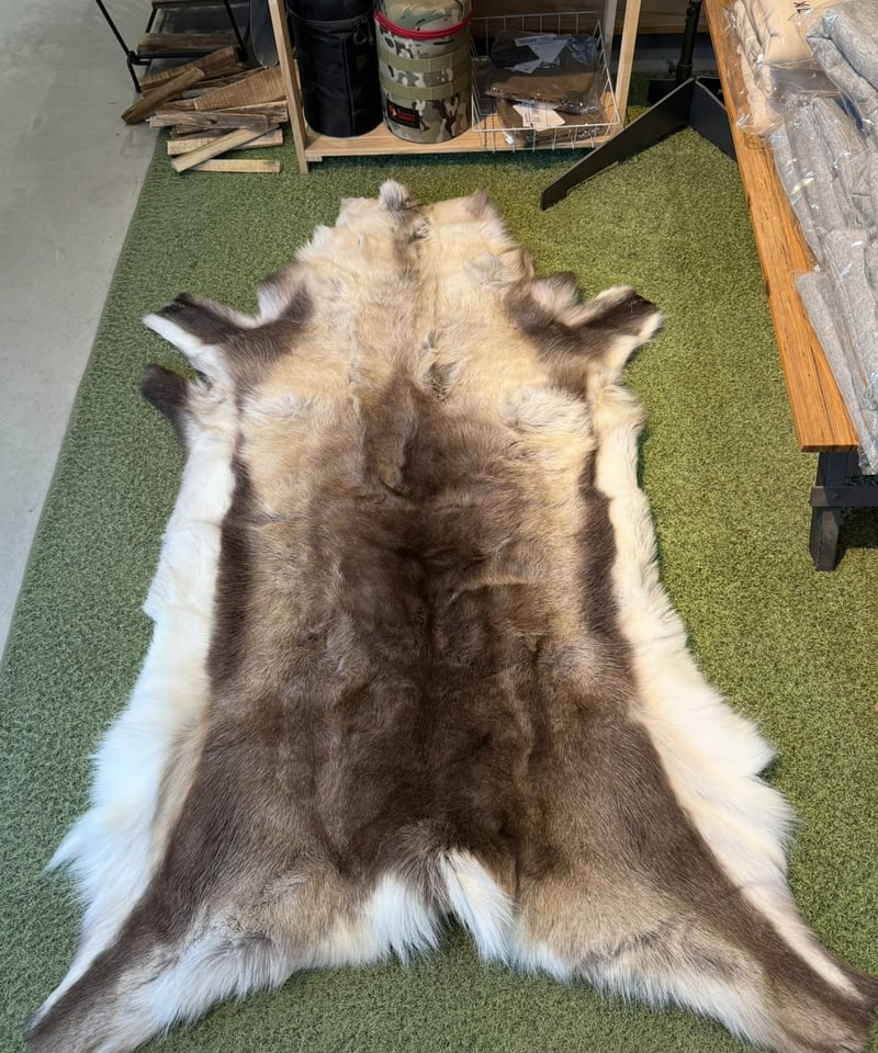 北欧❗️スウェーデン産‼️ トナカイ ファー 毛皮 ラグ マット 1頭分