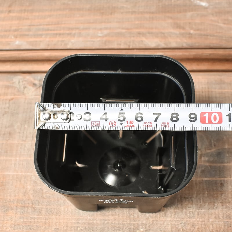 RAFLUM SLIT PLANTER サイズS/105 （3個セット） | RAFLUM