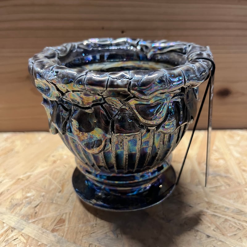 Wild Heaven 陶器鉢 BULB×SHINOGI | GREEN LUCK