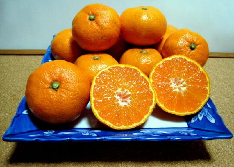 有機JAS認証】ぶさいくミカン BUSAIKU MIKAN 青島 3kg | 右田柑橘 オン