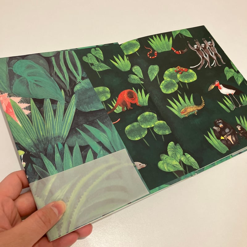 ワニ」ジャングルの憂鬱 草原の無関心 | まなみ古書店