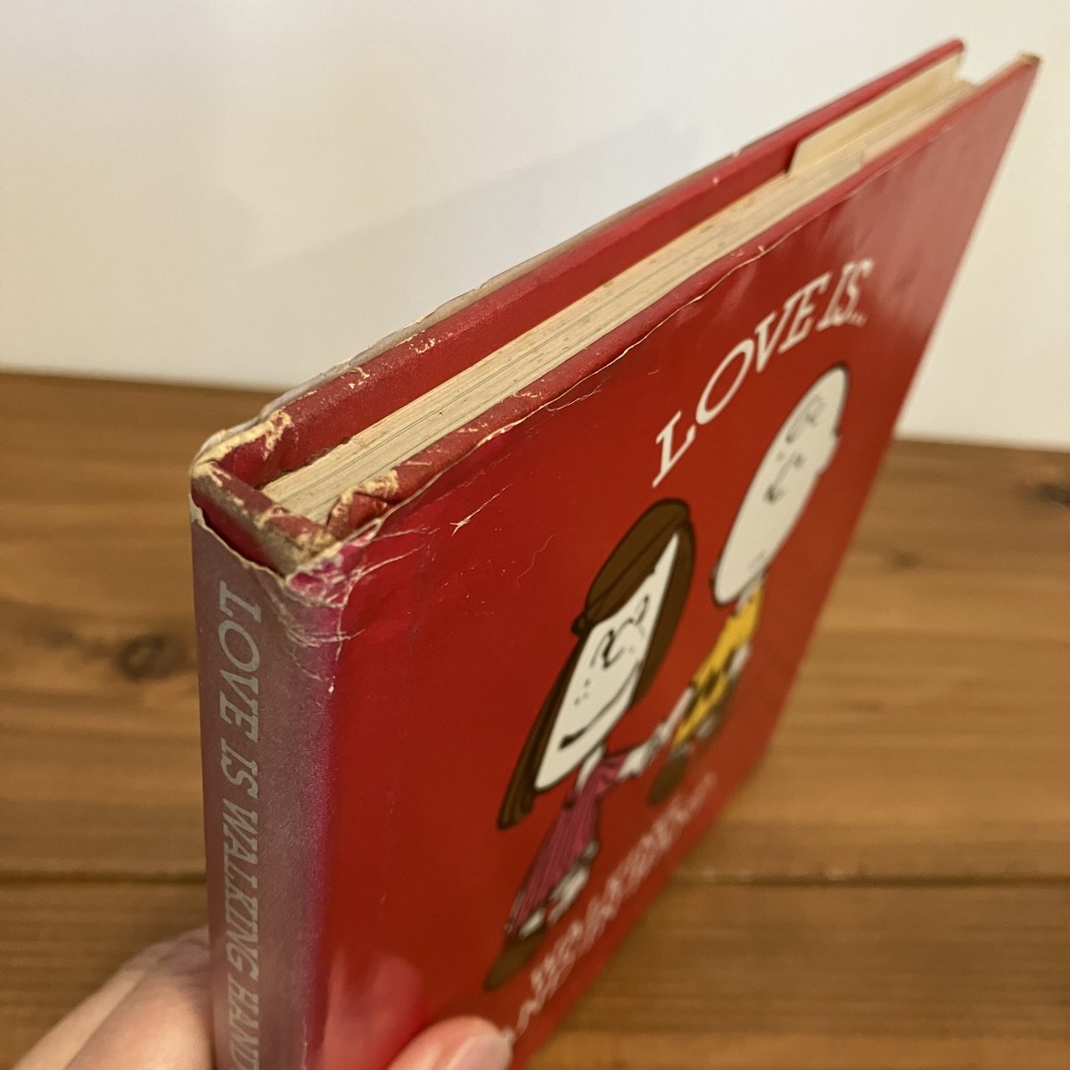 LOVE ISWALKING HAND-IN-HAND(大好きって手をつないで歩くこと)