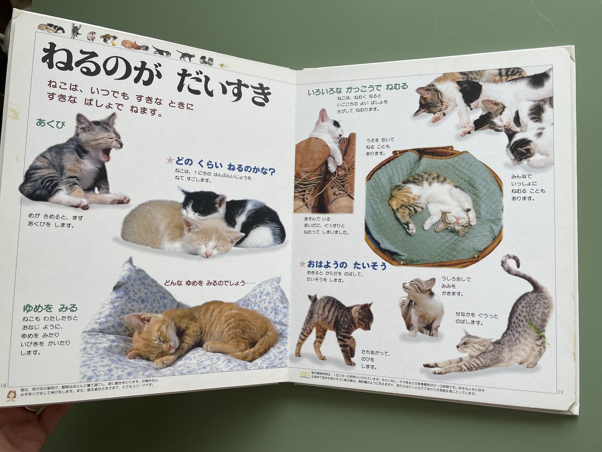 fit=scale-down,w=1200