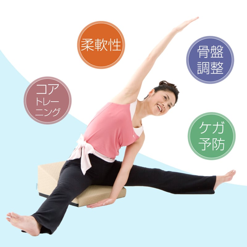 フレックスクッション® | サンテプラス公式ショップ