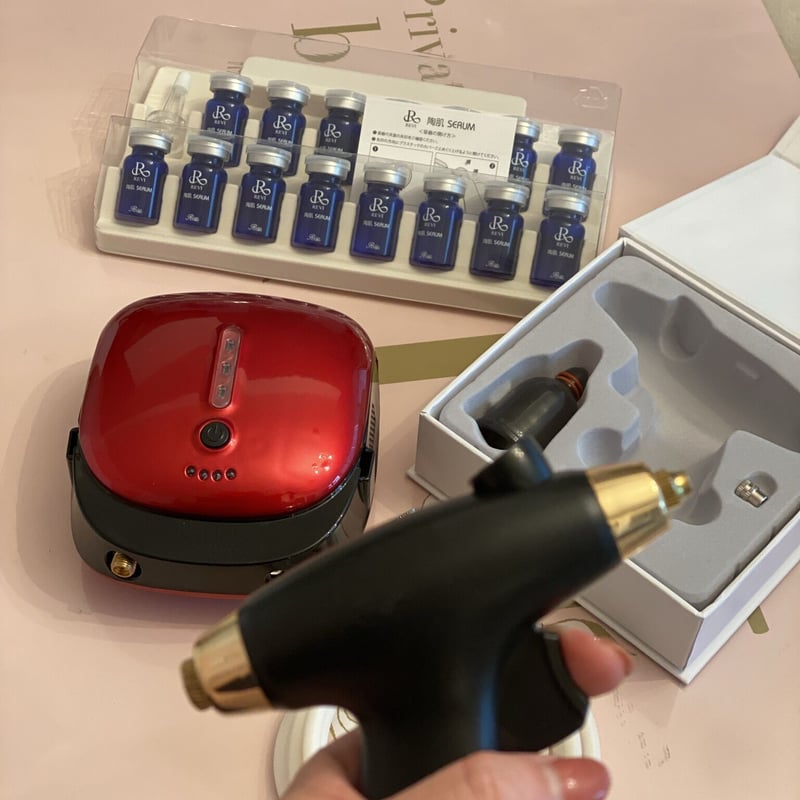 スプレーガンセット（延髄30本付き） | REVI SHOP