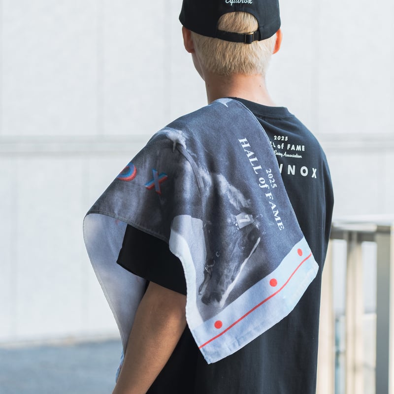 イクイノックス顕彰馬選定記念 フェイスタオル | HORSEGOODSnet