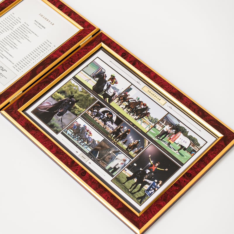 数量50枚限定】シャフリヤール引退記念写真デザインパネル（シリアル