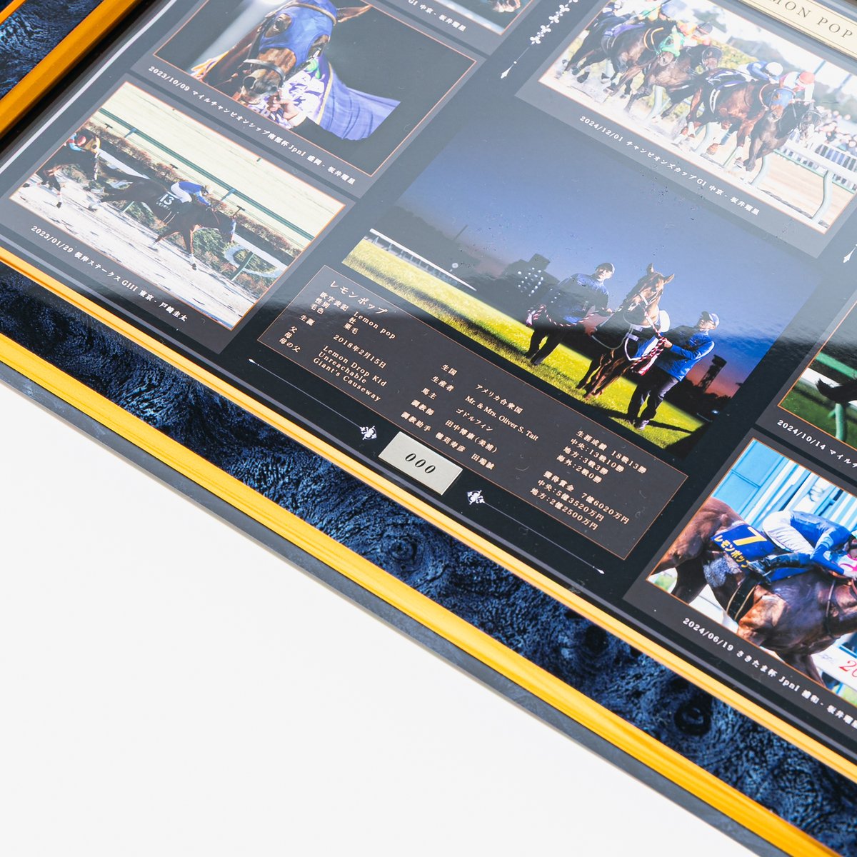 数量50個限定】レモンポップ引退記念写真デザインパネル（シリアル