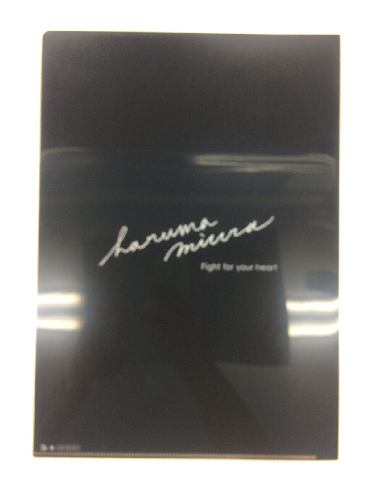 イタミ有】三浦春馬 fight for your heart クリアファイル | K-B