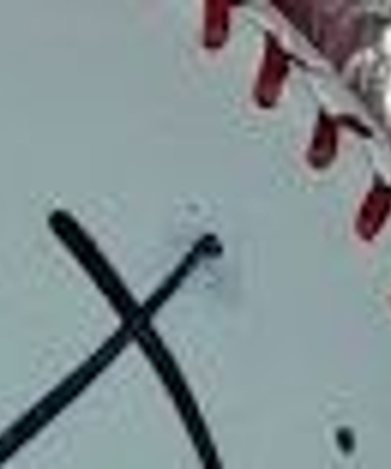 外箱イタミ有】【サインくすみ有】にじさんじ 葛葉 直筆サインボール