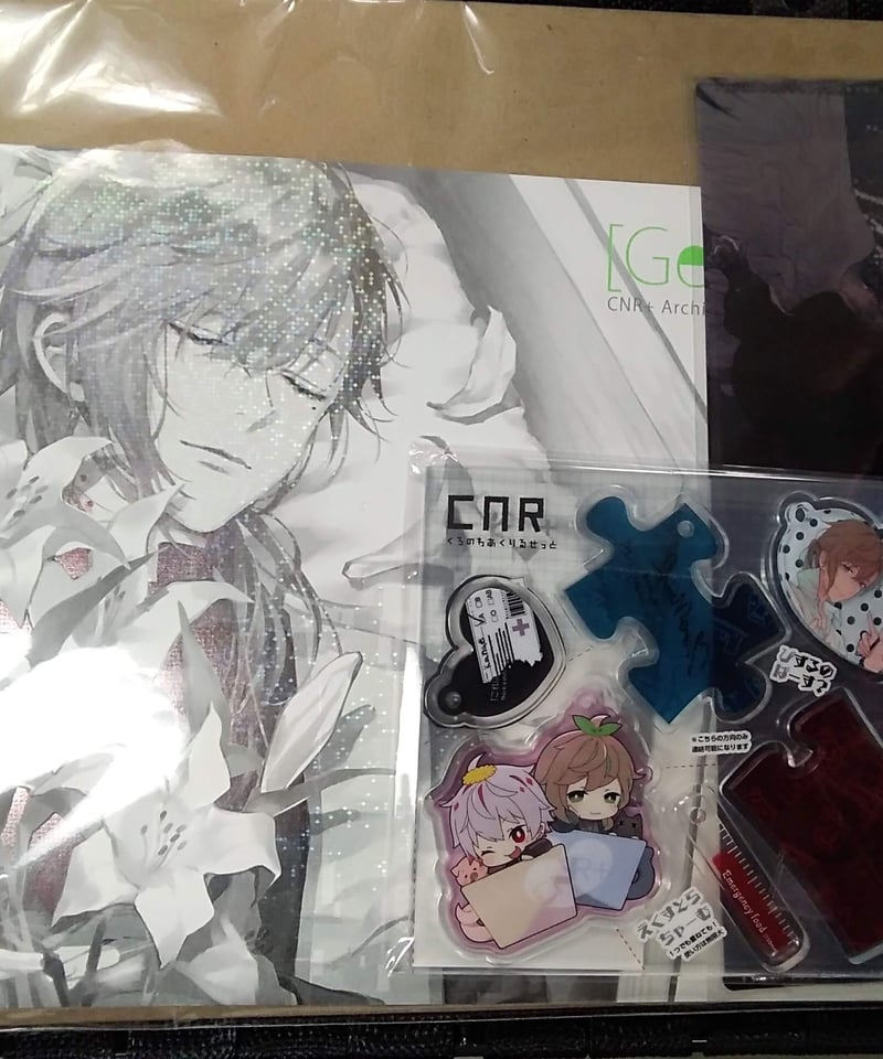 にじさんじ ChroNoiR CNR+アーカイブ2セット | K-BOOKS K-POP館