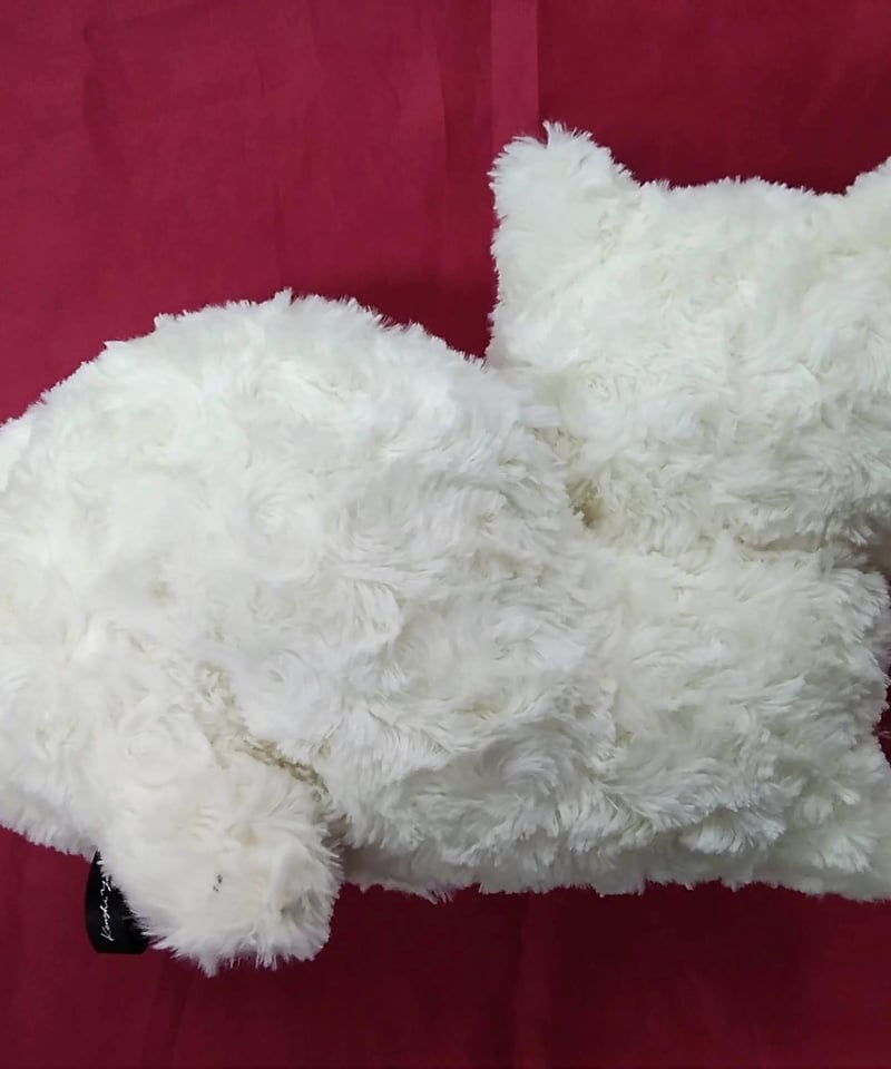 開封済み】米津玄師 リイシューねこちゃん WHITE | K-BOOKS K-POP館 ア