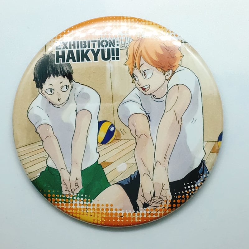 ハイキュー!! 3年 日向 山口 コレクション缶バッジ 第7弾 | K-BOOKS