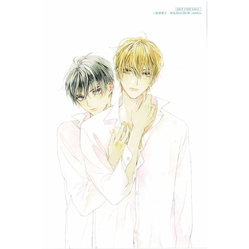 夏野寛子 『25時、赤坂で』 onBLUE9周年記念フェア 両面 イラスト