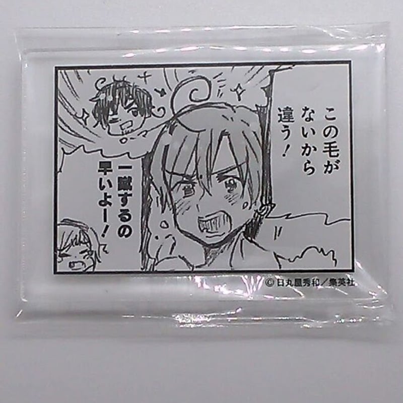 ヘタリア ロマーノ アニメイトカフェ コマ型 アクリルバッジ この毛が