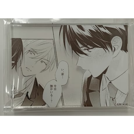 百瀬あん | STORES