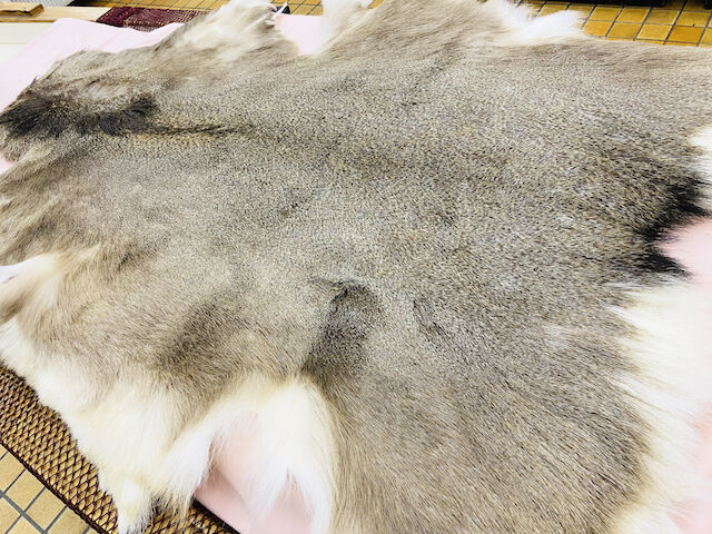 北海道産エゾ鹿毛皮ラグ（敷物）(約140cmx約110cm)※送料無料 | 北海道